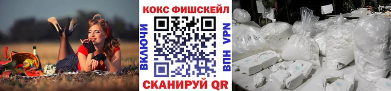 Cocaine FishScale  Купить закладки  Калининск 