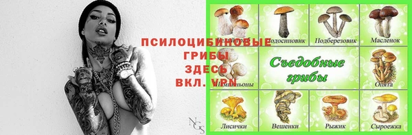 гашик Иннополис