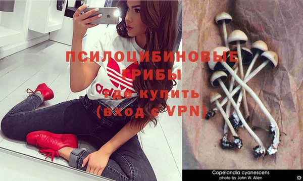 гашик Иннополис