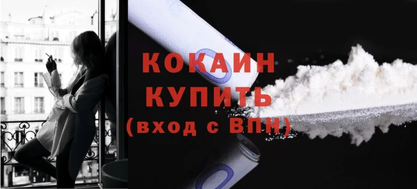 амф Инсар