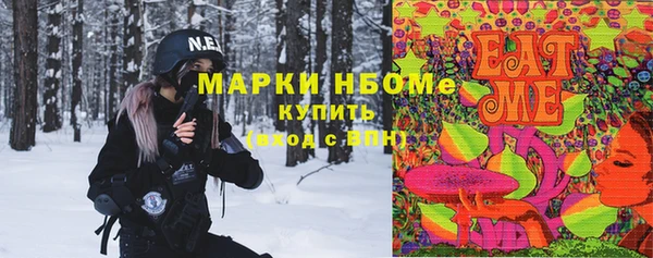 амф Инсар