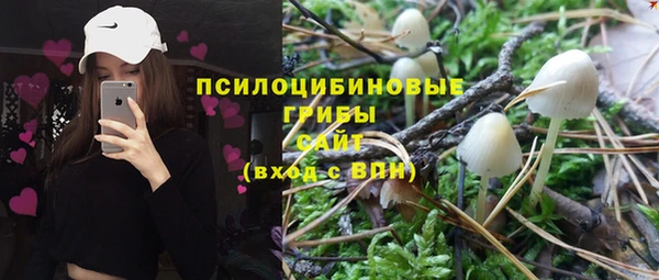 гашик Иннополис