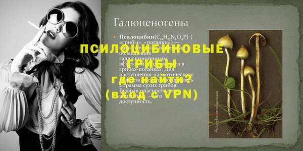 гашик Иннополис